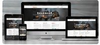 Website development projects
